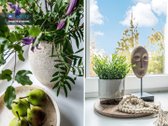 Parduodamas Šviesus Ir Pilnai Įrengtas Dviejų - nuotraukos Nr. 8