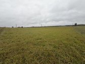 ? Parduodamas 79 arų namų valdos sklypas - nuotraukos Nr. 7