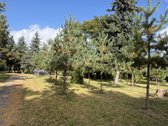Parduodamas 3 ha (300 arų) sklypas su mūriniu - nuotraukos Nr. 40