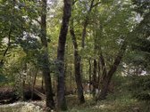 Parduodamas 3 ha (300 arų) sklypas su mūriniu - nuotraukos Nr. 12