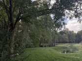 Parduodamas 3 ha (300 arų) sklypas su mūriniu - nuotraukos Nr. 16