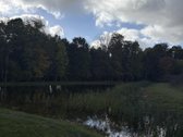 Parduodamas 3 ha (300 arų) sklypas su mūriniu - nuotraukos Nr. 17