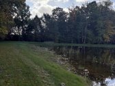 Parduodama išskirtinio gamtovaizdžio sodyba - nuotraukos Nr. 18