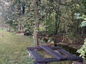 Parduodama išskirtinio gamtovaizdžio sodyba - nuotraukos Nr. 19