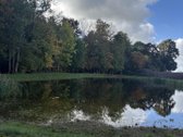 Parduodamas 3 ha (300 arų) sklypas su mūriniu - nuotraukos Nr. 20