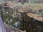 Parduodamas 3 ha (300 arų) sklypas su mūriniu - nuotraukos Nr. 26