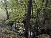 Parduodamas 3 ha (300 arų) sklypas su mūriniu - nuotraukos Nr. 30