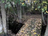 Parduodama išskirtinio gamtovaizdžio sodyba - nuotraukos Nr. 32