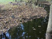 Parduodamas 3 ha (300 arų) sklypas su mūriniu - nuotraukos Nr. 33