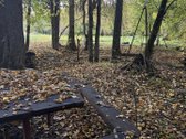 Parduodama išskirtinio gamtovaizdžio sodyba - nuotraukos Nr. 35