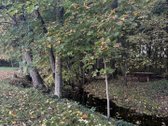 Parduodama išskirtinio gamtovaizdžio sodyba - nuotraukos Nr. 37