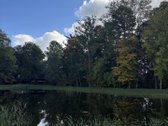 Parduodamas 3 ha (300 arų) sklypas su mūriniu - nuotraukos Nr. 38