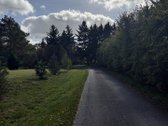 Parduodama išskirtinio gamtovaizdžio sodyba - nuotraukos Nr. 4