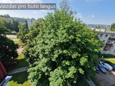 Išnuomojamas tvarkingas vieno kambario butas - nuotraukos Nr. 13