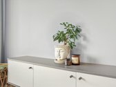 Jaukus 2 Kambarių Butas Su Terasa „Lazdynėlių - nuotraukos Nr. 5
