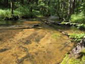 Parduodami apie 82 arų ploto sklypai Malūno g - nuotraukos Nr. 13
