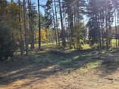 Parduodami apie 82 arų ploto sklypai Malūno g - nuotraukos Nr. 6
