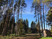 Parduodami apie 82 arų ploto sklypai Malūno g - nuotraukos Nr. 5
