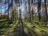 Parduodami apie 82 arų ploto sklypai Malūno g - nuotraukos Nr. 11