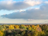 Parduodamas Trijų Kambarių Butas Su Gražia - nuotraukos Nr. 15