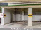 Miesto centras, Neries pakrantė ir apgalvotas - nuotraukos Nr. 28