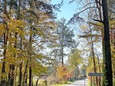 Parduodamas 2 aukštų, gyvenamas sodo namas su - nuotraukos Nr. 27