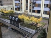 Išnuomojamas 2 kamb. butas Senamiesčio ir - nuotraukos Nr. 11