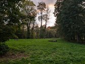 Parduodama sodyba Prienų rajone, Kašonių kaime.  - nuotraukos Nr. 4