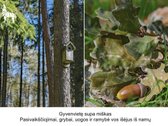 Kviečiame atvykti į Atvirų durų dieną! - nuotraukos Nr. 19