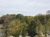 Nuomojamas dviejų kambarių butas renovuotame - nuotraukos Nr. 9