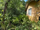 Parduodamas 7 Arų Sodo Sklypas Su Nameliu - nuotraukos Nr. 5