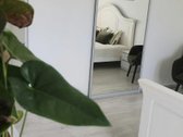 Reta galimybė įsigyti medžių apsuptą butą - nuotraukos Nr. 6