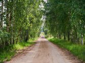 Gamtos apsuptyje parduodama 13 namų valdos - nuotraukos Nr. 5