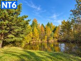 Parduodamas Erdvus 310,41 M² Namas Su 1,5 Ha - nuotraukos Nr. 9