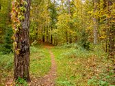 Antakalnyje, Volungės G., Parduodamas 3-jų - nuotraukos Nr. 31