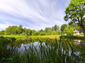 Parduodama sodyba vienkiemyje su 10ha žemės - nuotraukos Nr. 25