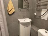 Nuomojamas 1 Kambario Butas Pelėšos G., - nuotraukos Nr. 5