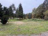Kampinis sodo sklypas su nuosavu tvenkiniu.  - nuotraukos Nr. 5