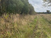 Parduodamas 32,24 Arų Sklypas Rusliuose, - nuotraukos Nr. 3