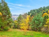 Rytinė Kava Su Vaizdu Į Miškelį. Nauja - nuotraukos Nr. 62