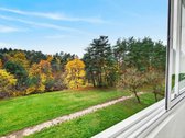Rytinė Kava Su Vaizdu Į Miškelį. Nauja - nuotraukos Nr. 64