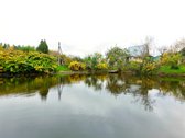 Parduodamas 5,16 aro sodo sklypas su įrengtu - nuotraukos Nr. 32