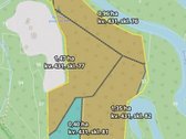 Parduodamas apie 4 ha miško ūkio paskirties - nuotraukos Nr. 10