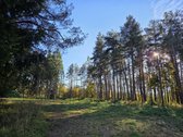 Parduodami apie 82 arų ploto sklypai Malūno g - nuotraukos Nr. 10