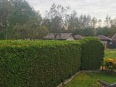 Vilniaus r. sav., Akmeniškių k. - nuotraukos Nr. 5