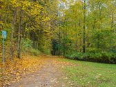 Antakalnyje, Žolyno Gatvėje Parduodamas - nuotraukos Nr. 65