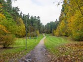 Antakalnyje, Žolyno Gatvėje Parduodamas - nuotraukos Nr. 59