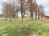 Parduodamas Komercinės Paskirties Žemės - nuotraukos Nr. 3