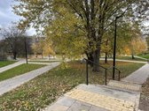 Išnuomojamas Jaukus Ir Šiltas 2 Kambarių - nuotraukos Nr. 15