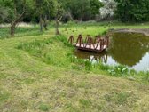 Parduodamas Istorinis Dvaras – Išskirtinė - nuotraukos Nr. 3